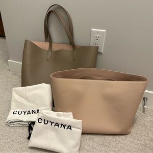 Cuyana Structured Tote with Insert